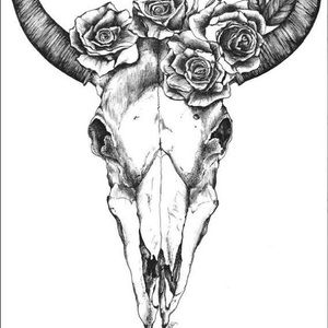 Meet your Posher, Marli